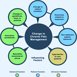 Factors That Influence Changes to Existing Chronic Pain Management Plans |  American Board of Family Medicine